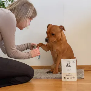 Hovedbilde Pala godbiter av kylling