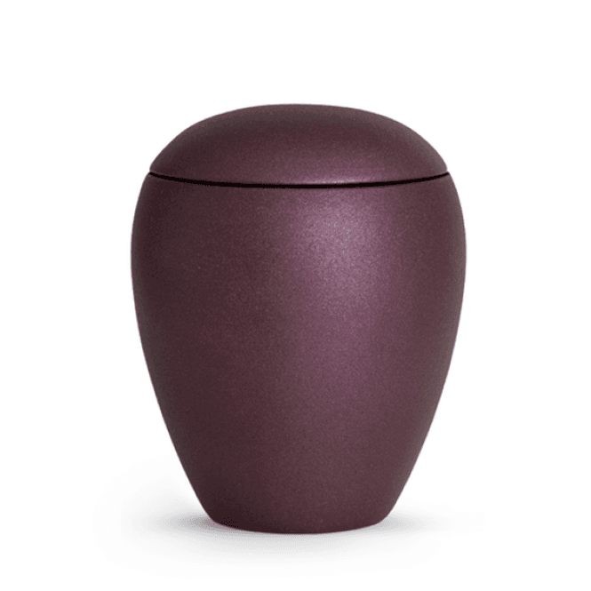Hovedbilde Verona Berry