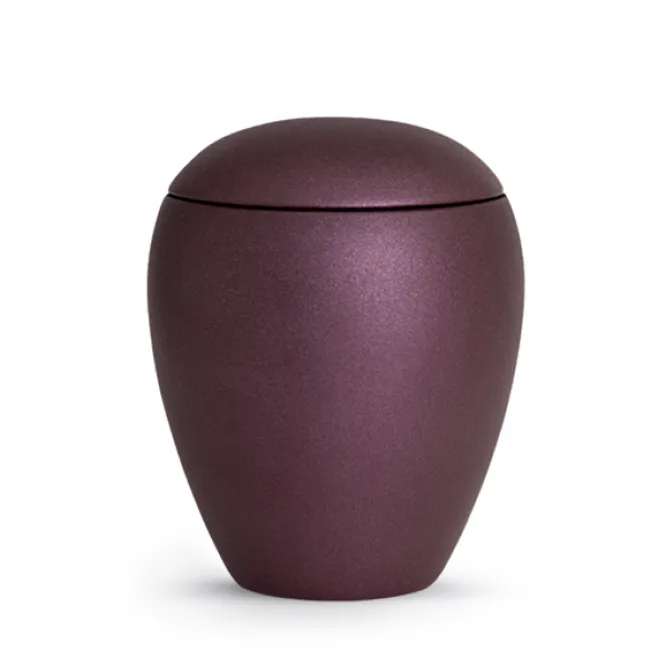 Hovedbilde Verona Berry